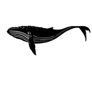 A detailed 21-inch Humpback Whale wall art piece crafted from 16-gauge steel with a black-painted finish. Intricate cutouts highlight the whale's natural ridges and fins. It includes a sturdy wall bracket for easy hanging, shown against a plain surface.